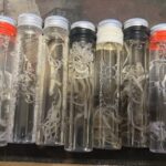 Bestatter alarmiert: immer mehr junge, geimpfte Menschen sterben plötzlich GgxG8uPWUAAaVef