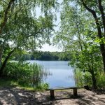 Windpark statt Waldidyll