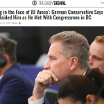 Bystron im EU parlament