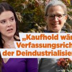 Kaufhold Klimadrohung YouTube