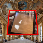 Louvre kunstraub montage