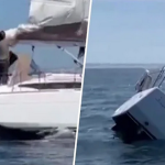 Orcas-versenken-yacht