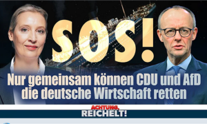 ACHTUNG REICHELT: AfD und CDU können die deutsche Wirtschaft nur gemeinsam retten