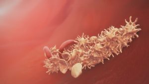 Die Aufarbeitung lässt auf sich warten – der Impfhorror und seine Folgen halten an