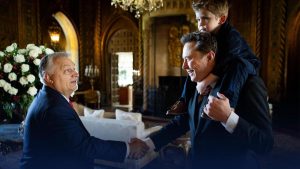 Musk lobt Orban-Kritik an Migrationspolitik: „Austausch lokaler Wähler ist Plan der Linken“