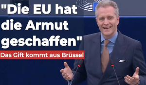 93 Millionen armutsgefährdet: Bystron warnt – „Das Gift kommt aus Brüssel“
