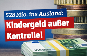 Deutschland – Sagenhafte 528 Millionen Euro Kindergeld ins Ausland gezahlt