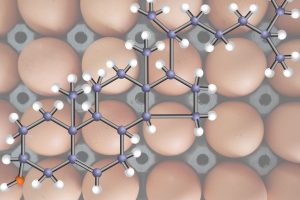 Das „böse Cholesterin“ hilft dem Immunsystem bei der Krebsbekämpfung!