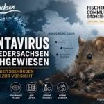 Neue „Virtus-Hysterie“ – diesmal Hanta-Virus nun auch in Niedersachsen Niedersachsen Hanta-Virus