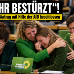 „Sehr bestürzt“: Grünen-Antrag wird ausgerechnet mit AfD-Stimmen beschlossen weinende grünen-politikerinnen wegen afd stimmen