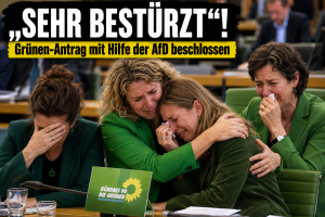 „Sehr bestürzt“: Grünen-Antrag wird ausgerechnet mit AfD-Stimmen beschlossen