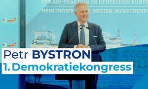 Bystron: „Die wahre Wahlmanipulation beginnt ein Jahr vor der Wahl“