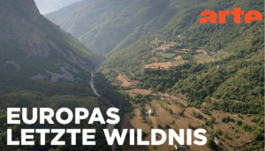 Europas Urwälder: Ein Schatz der Natur (Video)