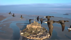 Der mit den Gänsen fliegt (Video)