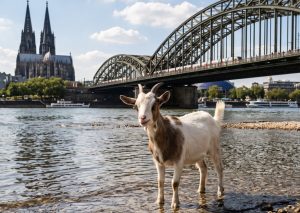 Die Lüge vom Wirtschaftsrückgang wegen Niedrigwasser