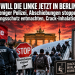 pläne der Linken in Berlin