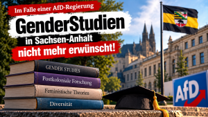 Sachsen-Anhalt: Dorothee Bär (CSU) will bei AfD-Regierung „länderübergreifendes Hilfsnetzwerk“ installieren